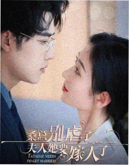 十七楼的春天都市治愈剧封面